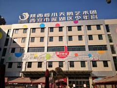 -陕西省小天鹅艺术团