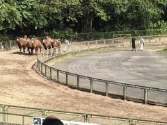 -深圳野生动物园