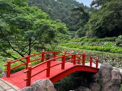 -鼓岭旅游度假区