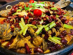 -老板恋上鱼(恒隆广场店)