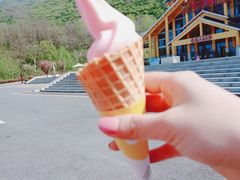 -陕西省红河谷森林公园