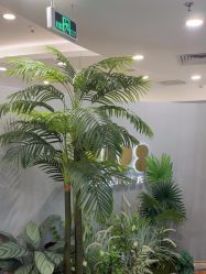 -八佰伴8008星级形象店