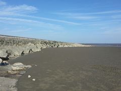 android_upload_pic-南汇嘴观海公园