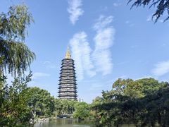 -红梅公园