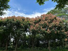 -深圳湾公园(南山区)