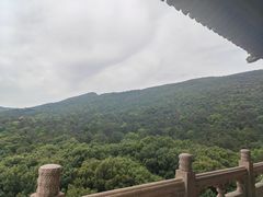 -灵谷景区