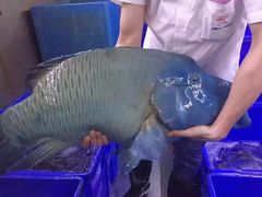 -渔民新村(番禺总店)