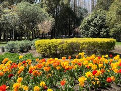 -上海滨江森林公园