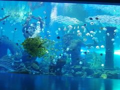-波塞冬海底世界