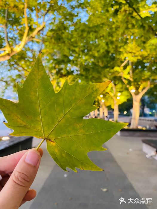 金鸡湖景区图片