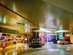 -上影国际影城(成都银泰LUXE店)