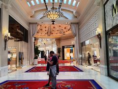 -拉斯维加斯永利酒店