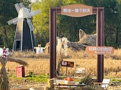 -长兴太湖图影湿地文化园