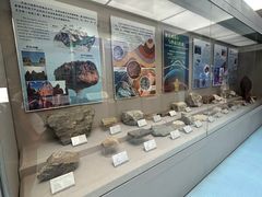 -延庆地质公园博物馆