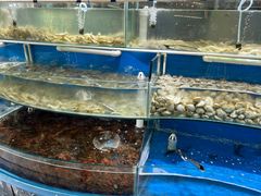 -四海蒸鲜蒸汽海鲜自助(北戴河店)