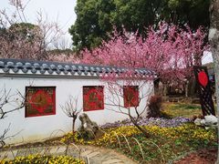 -无锡梅园公园