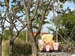 -上海山野camping·户外天幕烧烤·团建拓展营地