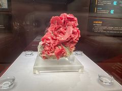 -湖南省地质博物馆