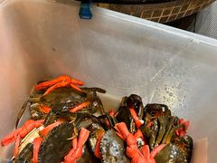 -强记海鲜·大排档(蛇口新街店)