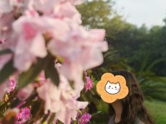 -雀儿山公园