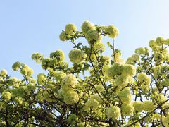 -苏州上方山国家森林公园