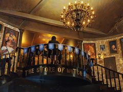 -雪灵魔法世界SHELLY’S TAROT(大良桂畔里店)
