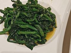 -沪碟·精菜坊(闵行店)