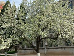 -山东师范大学(千佛山校区)