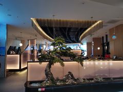 -马家斑.鲜鱼火锅(松湖万科店)