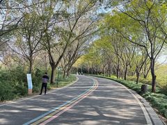 -同里国家湿地公园