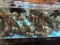 -紫阳海鲜楼·传承闽味(长乐路总店)