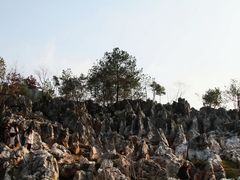 -千岛湖石林