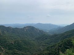 -大岭沟猕猴桃谷风景区