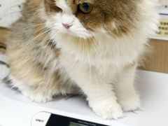 -瑞派康怡24h宠物医院·犬猫医疗中心·微创绝育(瑞景分院)
