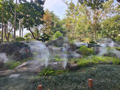 -东莞植物园
