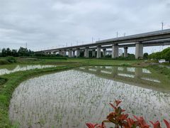 -黄山北站