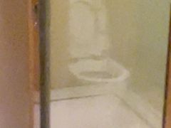 -廊坊固安福朋喜来登酒店