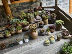 -华冠悠岚·庭院餐厅(青城后山店)