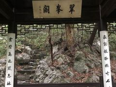 -龙井村
