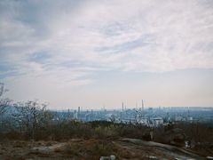 -白水寺森林公园