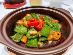 砂锅大肠螺丝椒-百富源·海鲜辽菜(浑河堡店)