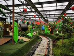 -南宫五洲植物乐园