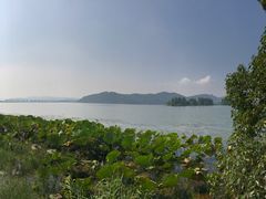 -东湖落雁景区