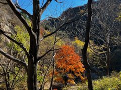 -黑龙潭风景区