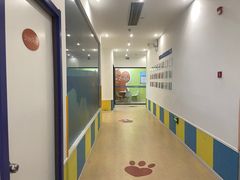 -贝乐少儿英语·全外教(滨江中心)