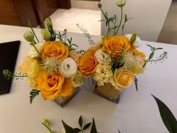 -上海雅居乐万豪侯爵酒店·宴会厅