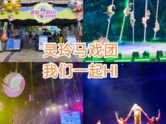 -灵玲国际马戏城