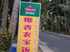 -东郊椰林