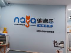 -纳吉亚猫专科动物诊疗中心(蒋宅口分院)