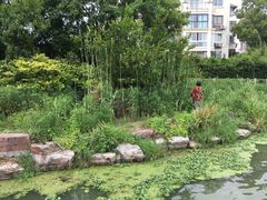 -高子水居